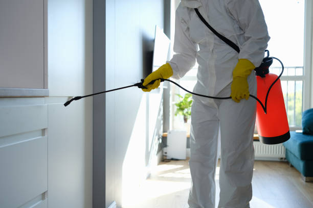 Best Residential Mold Remediation in Southworth, WA